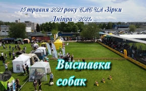 Выставка собак всех пород. CAC-UA «Зірки Дніпра - 2021»